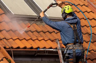 Démoussage et hydrofuge de toiture à Belleneuve